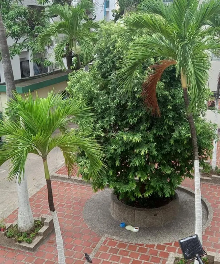 דירה Cartagena Apartamento El Cabrero