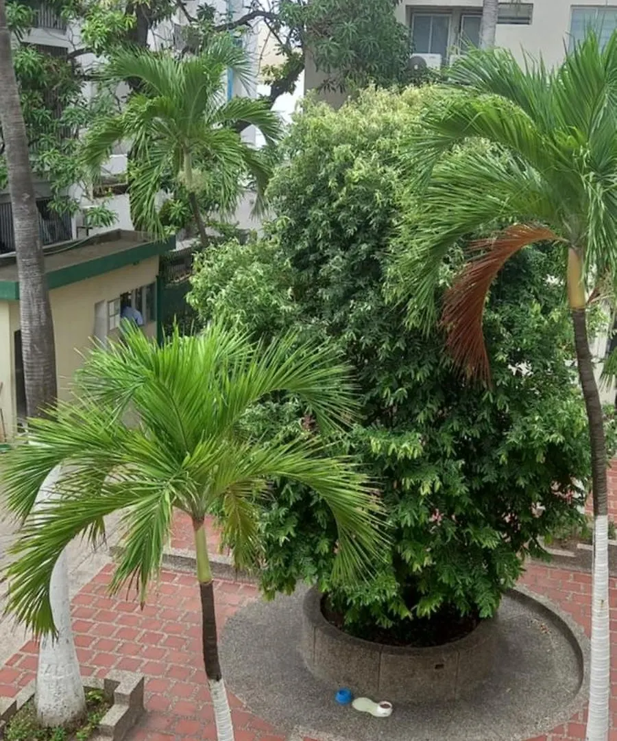 Cartagena Apartamento El Cabrero 0*,